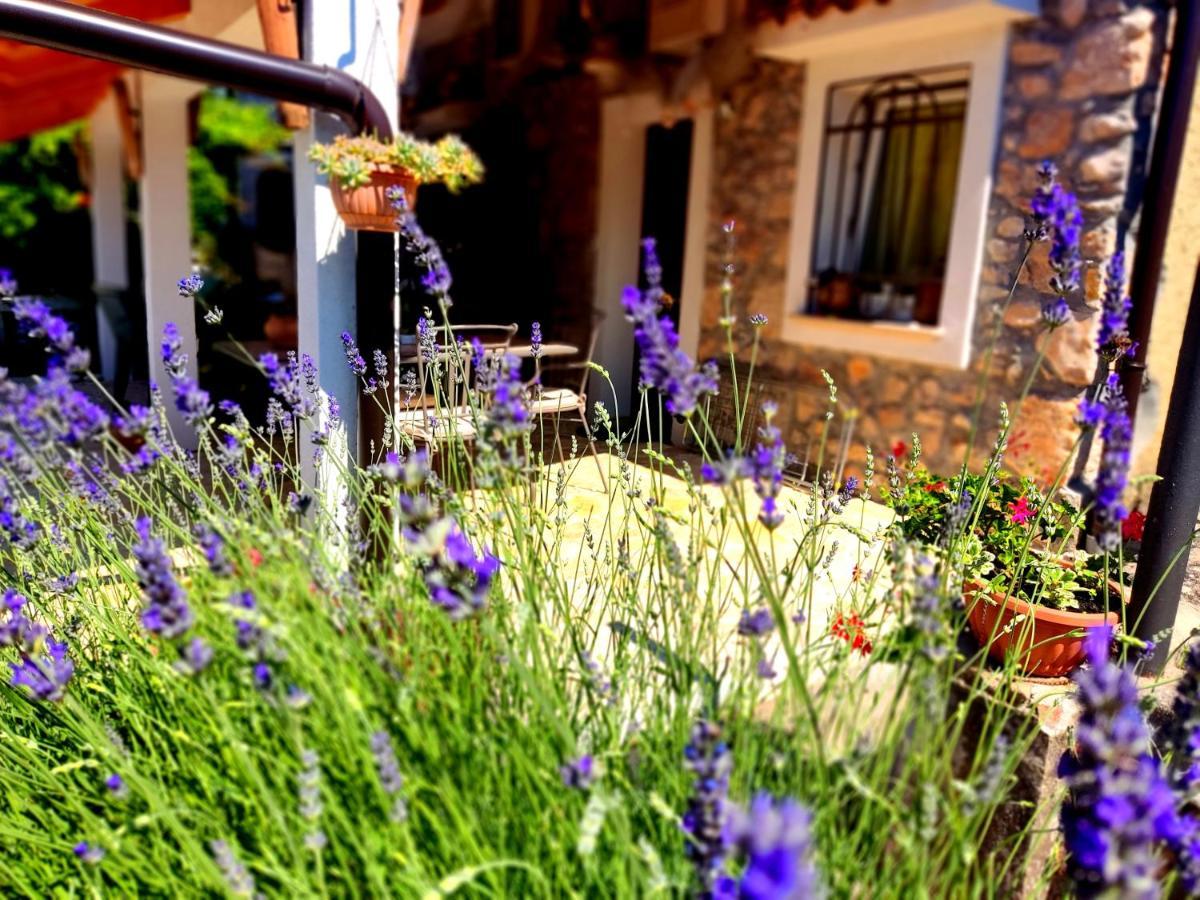 Apartman Pelcic,With Wifi And Free Parking Kostrena Dış mekan fotoğraf