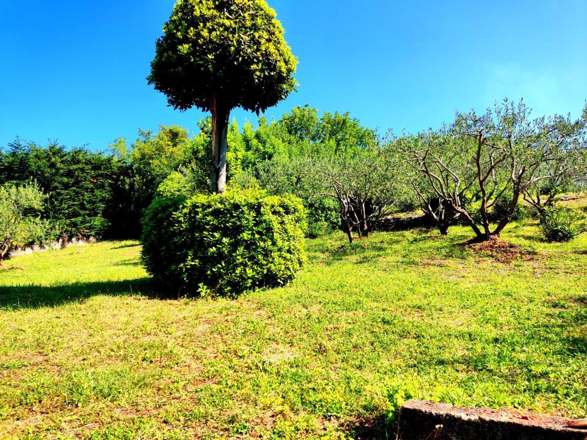 Apartman Pelcic,With Wifi And Free Parking Kostrena Dış mekan fotoğraf