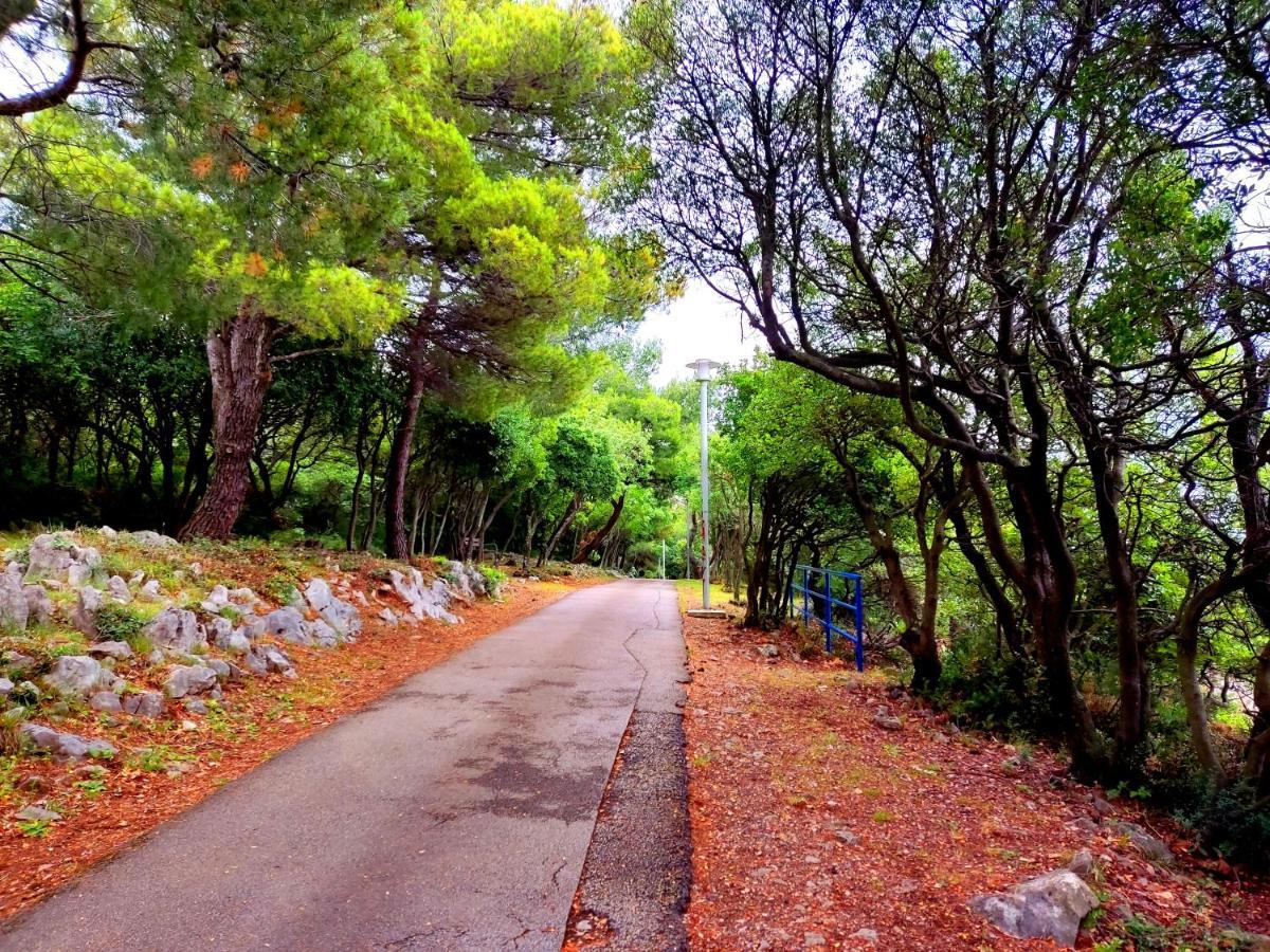 Apartman Pelcic,With Wifi And Free Parking Kostrena Dış mekan fotoğraf